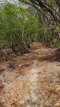 sentier dubelley ste anne guadeloupe