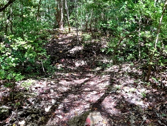 sentier coulée ouliée marie galante