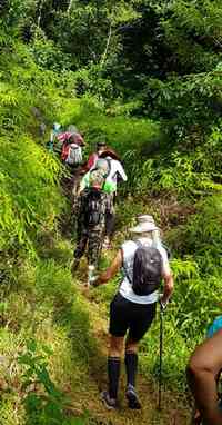 sentier départ tambour nord petit bourg guadeloupe