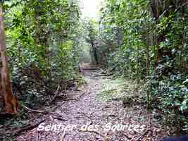 Sentier des Sources, Grand Bourg, Marie Galante