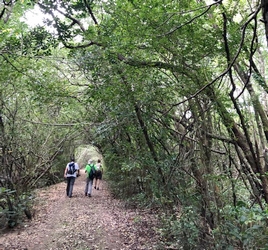 sentier foret poyen Petit canal