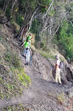 sentier grande anse deshaies guadeloupe