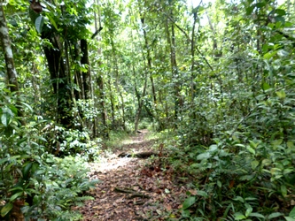 sentier la rose guadeloupe