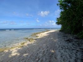 sentier littoral port louis grande terre guadeloupe