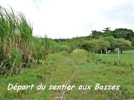 Départ du Sentier Murat, Grand Bourg, Marie Galante