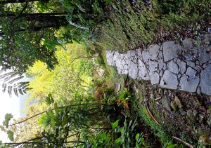 sentier pavé mamelle pigeon