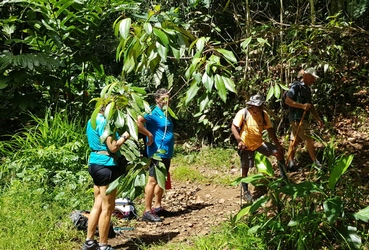 sentier retour bras de fort guadeloupe