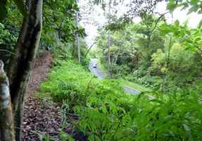 sentier retour, rivière quiock, route mamelles, guadeloupe