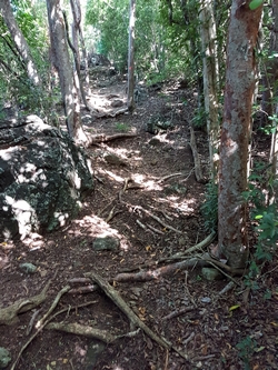 sentier malendure bouillante guadeloupe