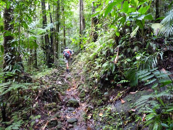 sentier, grand étang, 3 rivières