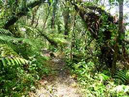 sentier, bains chauds, matouba, basse terre, guadeloupe