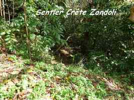 sentier houelmont, morne cadte, gourbeyre