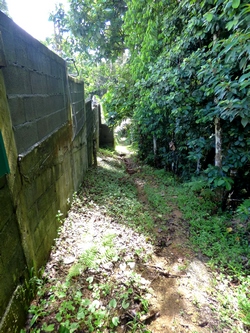 sentier maison Canyon moustique guadeloupe