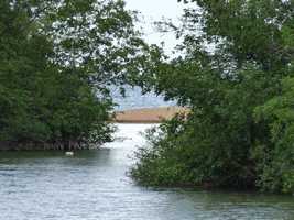 Sortie de l`étang de grande Anse, Deshaies
