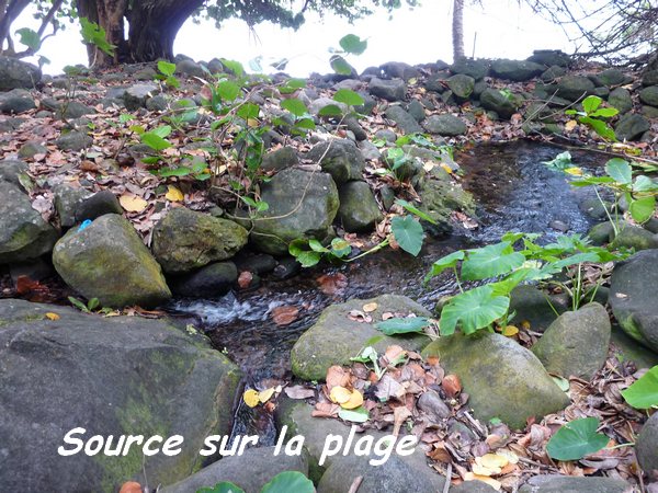 source Grande Pointe L