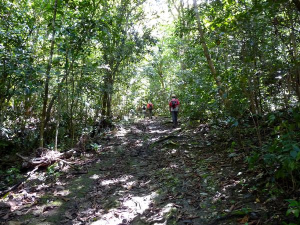 Sous bois, Trace du Prince