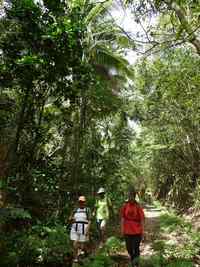 Sous bois humide M Galante