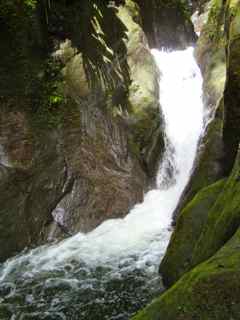 balade rivière grosse corde saut foret humide tropicale basse terre gaudeloupe