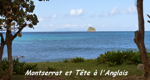 tete à l`anglais, ile, pointe allègre, basse terre, guadeloupe