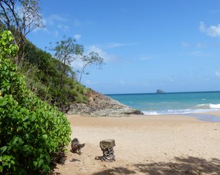 plage Tillet deshaies Guadeloupe