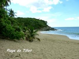 Tillet, plage, ste rose, basse terre, guadeloupe