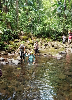 traversée rivière moustique petit bourg