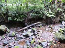 traversée Galion, post volcano, basse terre sud, Guadeloupe