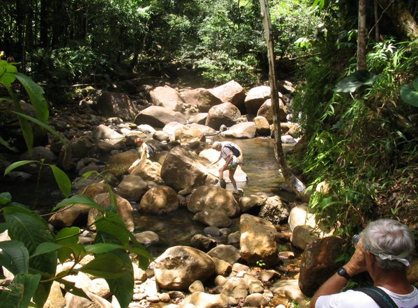 traversée rivière, trois cornes, nord basse terre, guadeloupe