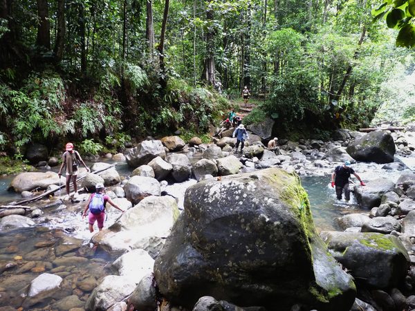 traversée rivière, trois cornes, nord basse terre, guadeloupe