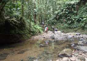 traversée, rivière quiok, route mamelles, guadeloupe