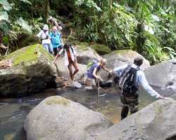 traversée, rivière quiok, route mamelles, guadeloupe