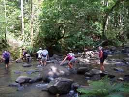 traversée, rivière quiok, route mamelles, guadeloupe