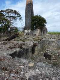 Trianon, cheminée M Galante