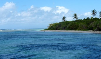 trou a coa bois jolan ste anne guadeloupe