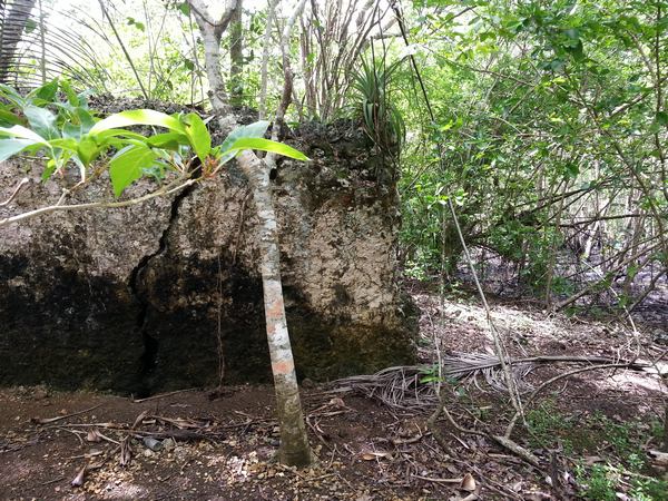 usine pinette, pointe à retz, morne à l`eau, grande terre, guadeloupe