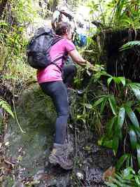 grimpette, véro, madeleine, basse terre, guadeloupe