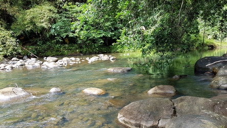 vers Piolet, rivière bras david, guadeloupe