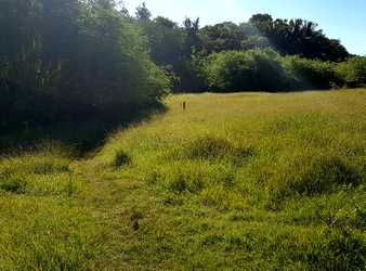 sentier à gauche babin, vx bourg Guadeloupe