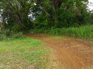 sentier à gauche mahoganis pte Bacchus Pt Bourg Guadeloupe