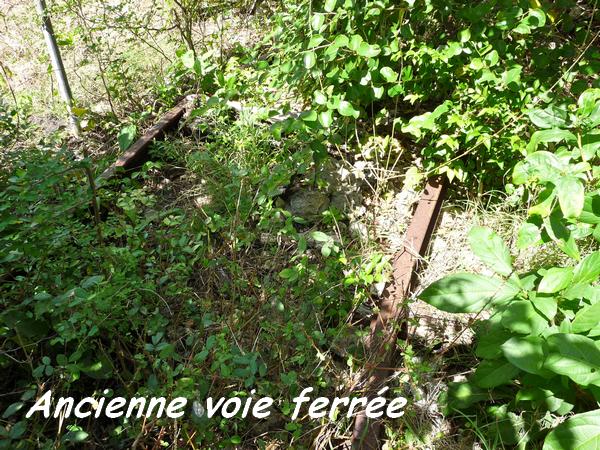 voie ferrée, maisoncelle, grande terre, guadeloupe