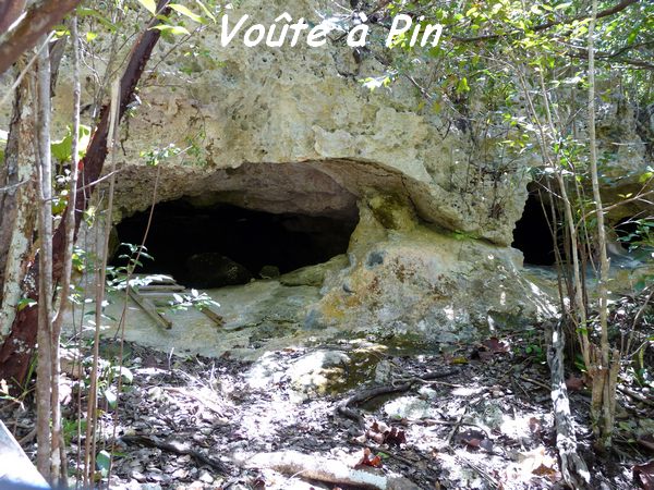 Vote à Pain, Grotte, Désirade L