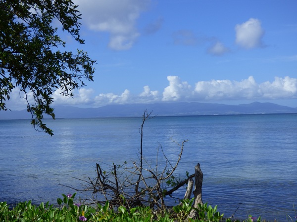 vue basse terre, port louis, grande terre, guadeloupe