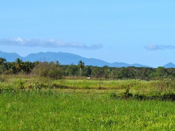 vue sur basse terre, TGT1,L