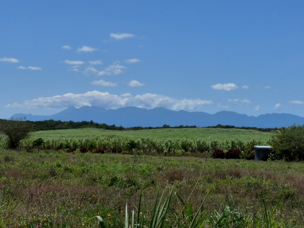 vue sur basse terre, TGT1,L