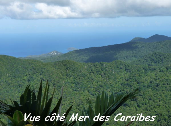 vue cote caraibes B argent L