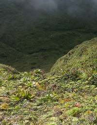 vue ravine matylis, soufrière, basse terre, guadeloupe