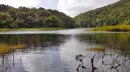 vue grand etang Guadeloupe