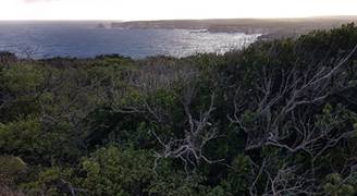 vue falaises vigie grande terre guadeloupe