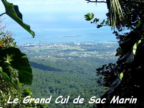 vue grand cul de sac, tete allègre, basse terre nord, Guadeloupe