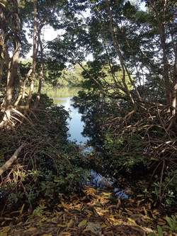 vue mer babin vx bourg guadeloupe